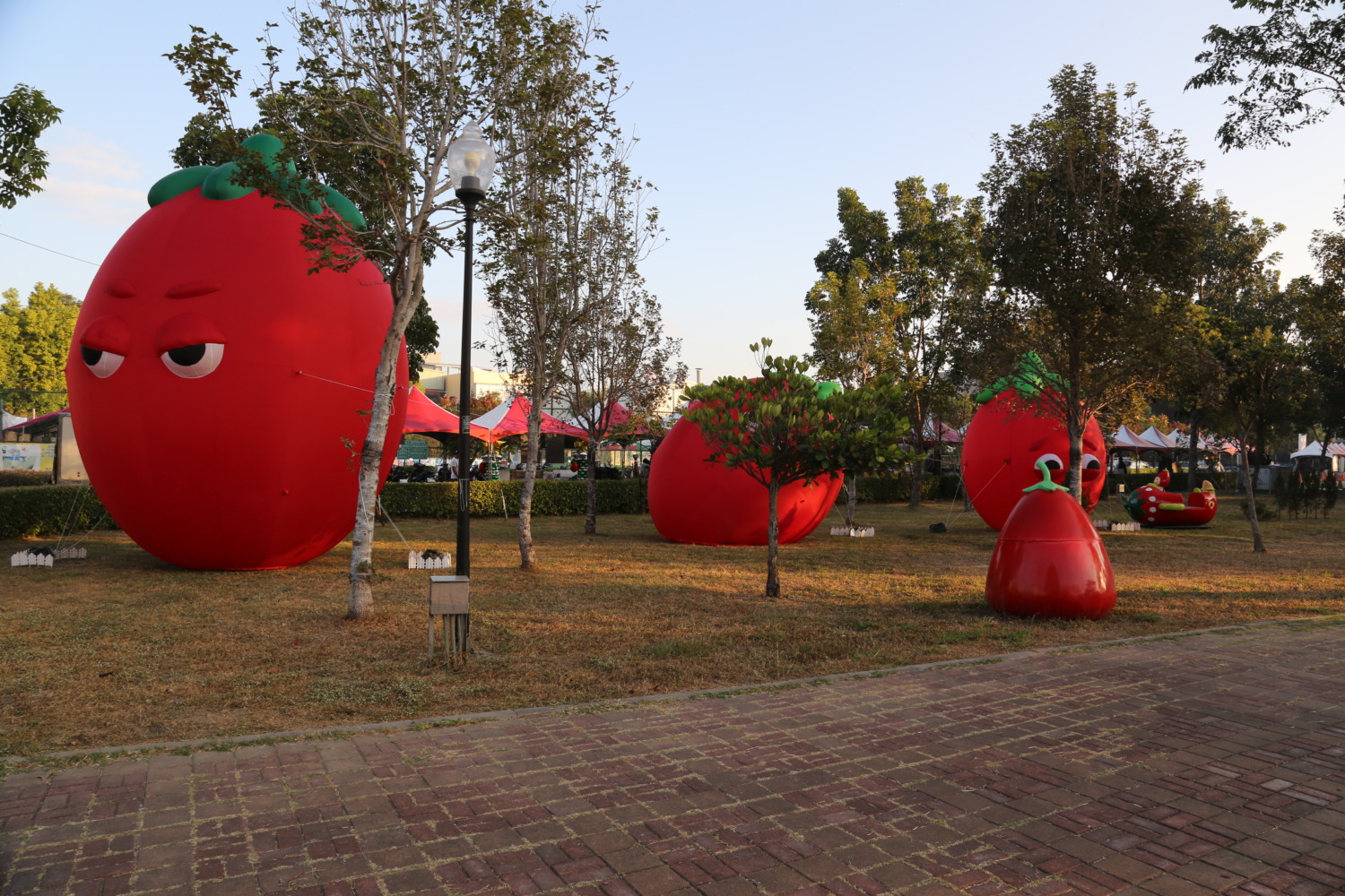 「2023路竹番茄節」將於路竹體育園區盛大登場