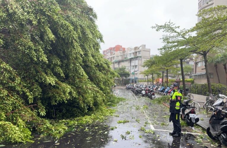 凱米風災內湖現場｜暖警連夜清理