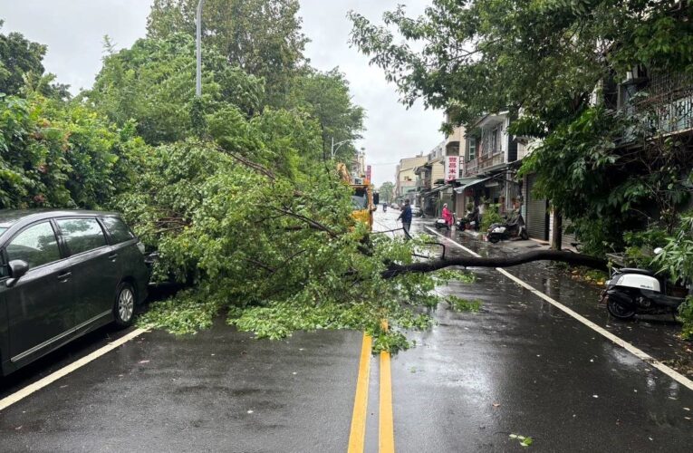 路樹倒塌阻交通　長榮警管制排除路障