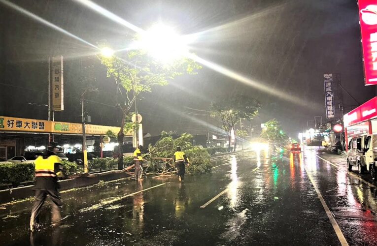 強颱肆虐樹倒　北鎮警交通錐鋸樹除路障