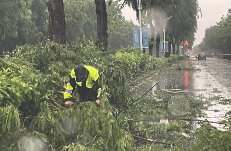 強風吹倒路樹阻通行　北興警迅速處置排除