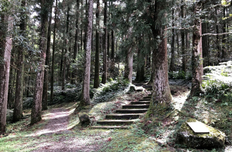 凱米颱風遠離　林保署新竹分署轄屬國家森林遊樂區預計7/27起開放