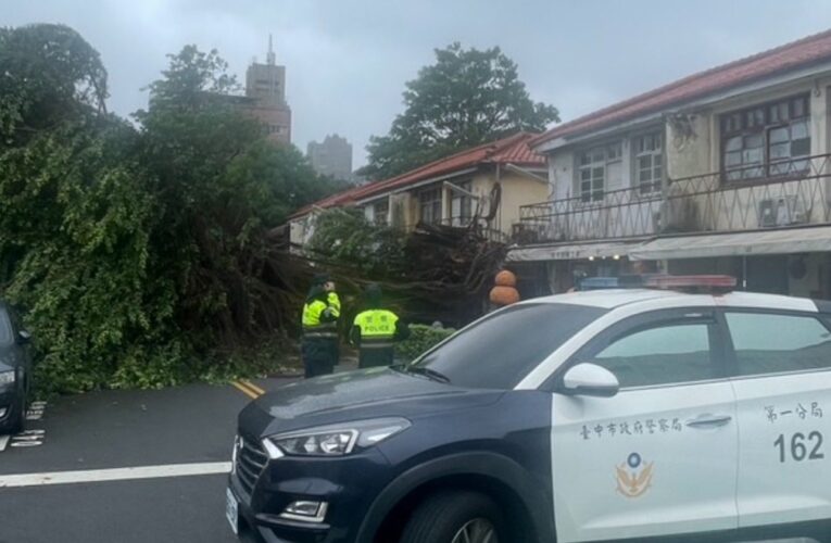 颱風凱米來襲、西區審計新村老榕樹傾倒壓車｜一分警即時處置