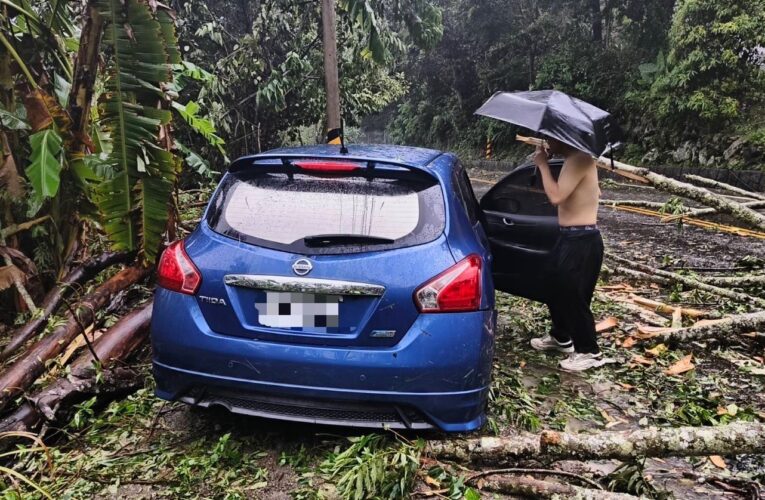 颱風凱米肆虐   東勢警即時救援樹倒駕駛