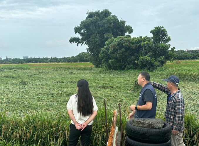 凱米颱風遠離桃市有零星農損傳出　農業局前往關心
