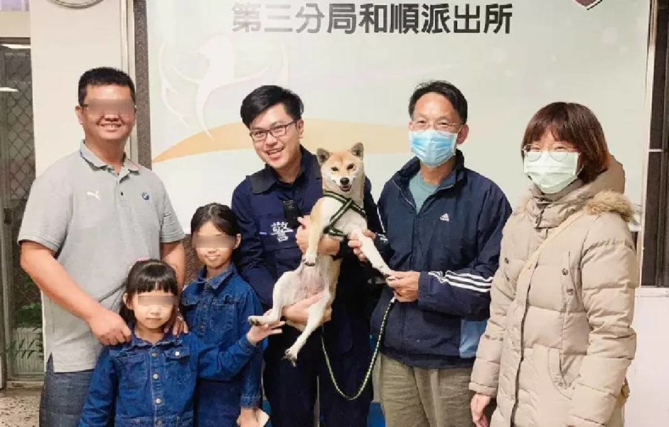 新年即時找回走失毛小孩 萌柴犬「多多」跟小女主淚眼相逢