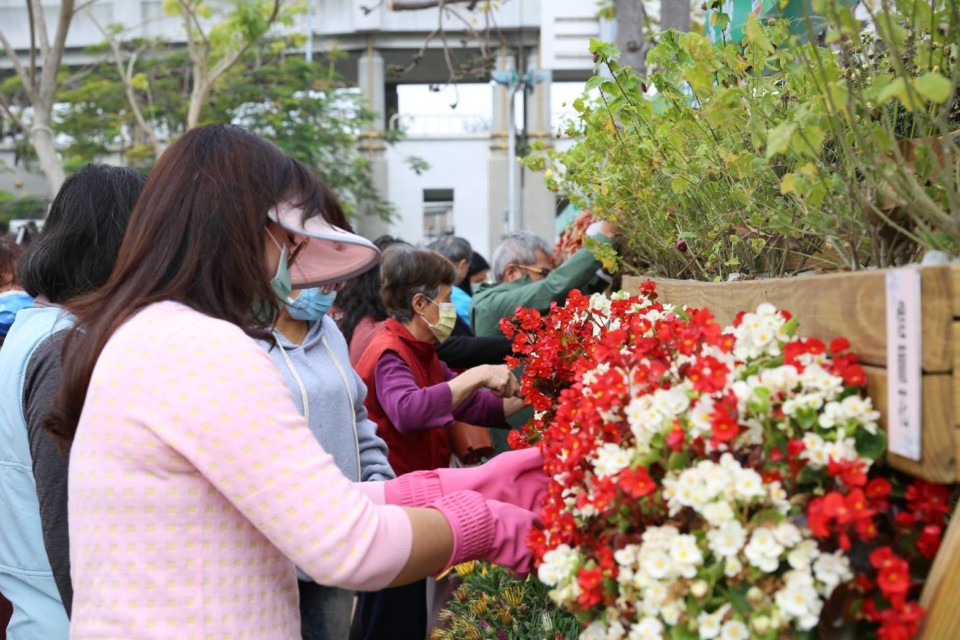 南市議會免費贈花  一小時不到索取一空