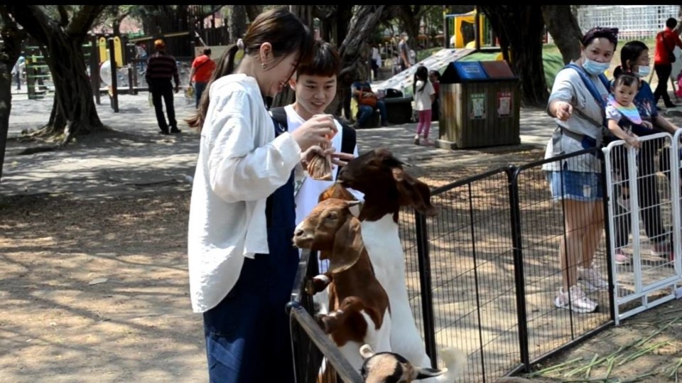 營造萌芽動物天堂 頑皮世界 「以動為親 以物為尊」繽紛五月視目以待