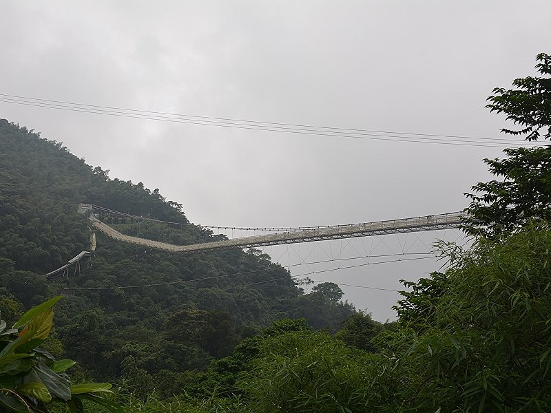 心在太平　嚴清雅成為地方創生的成功典範