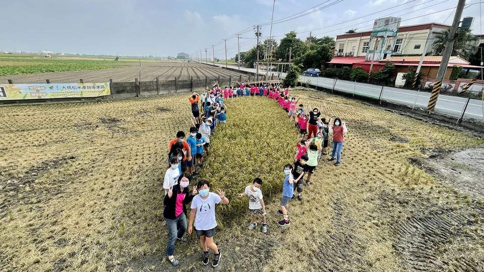 美麗的浮水印 香田國小生態稻田看見台灣