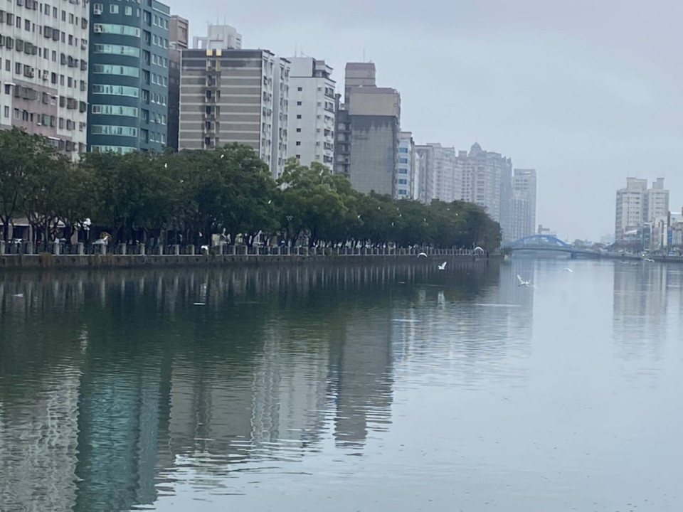 運河見白鷺不見漁屍  水利局增加溶氧降低污染