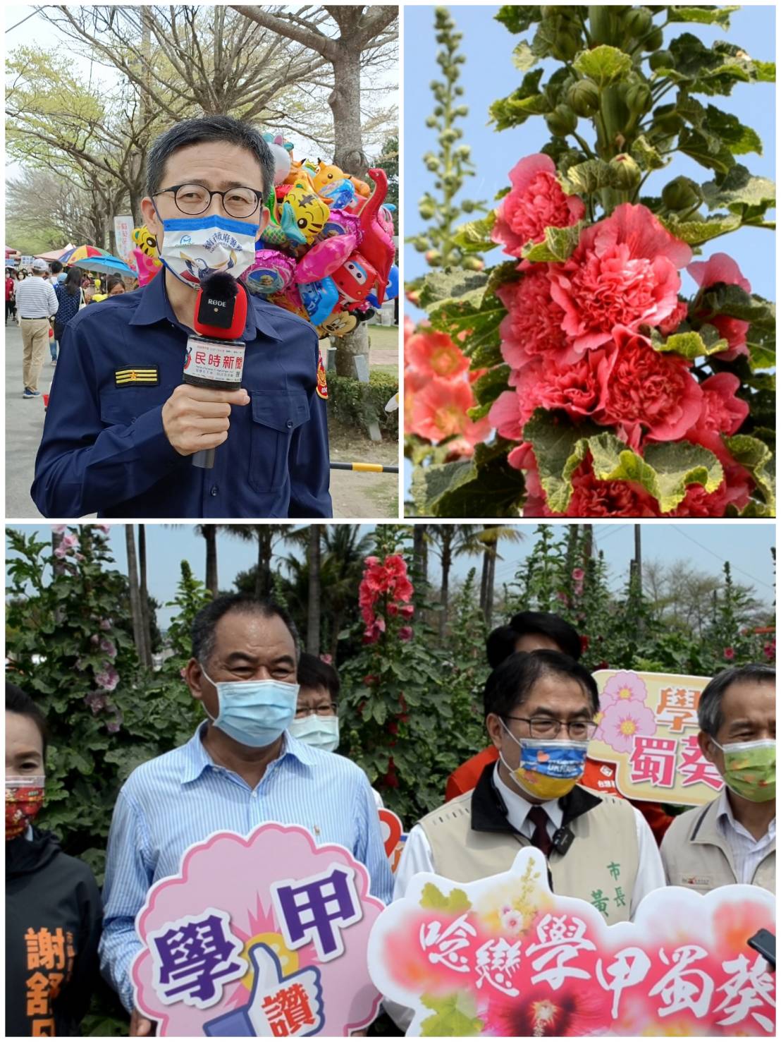 2022學甲蜀葵花文化節 竄升世界屋頂