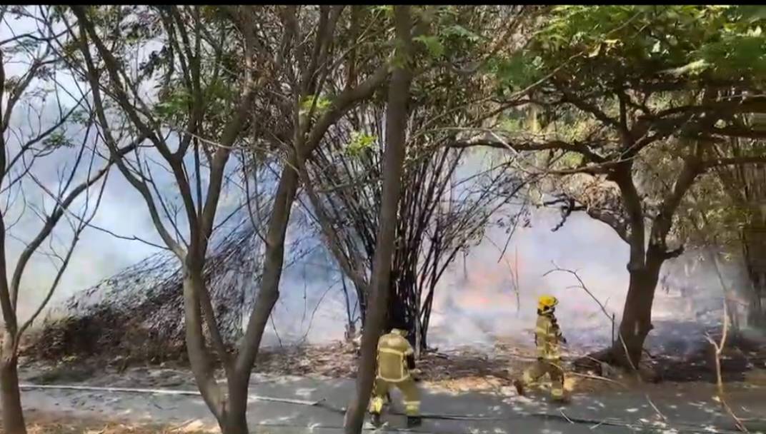 台江國家公園起火燃燒  情侶燃炮釀災