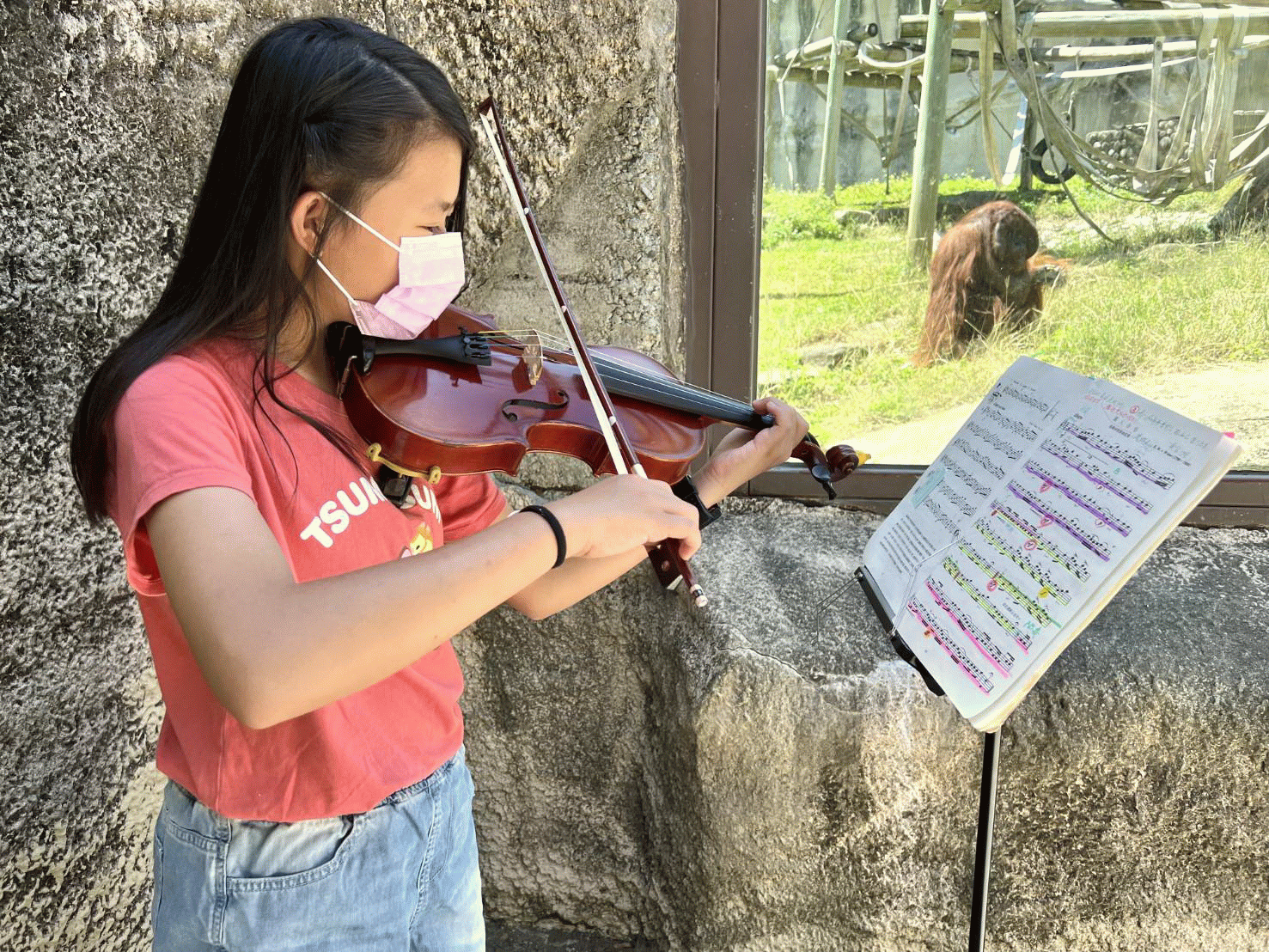 壽山動物園首場提琴演奏　動物音樂素養一次公開