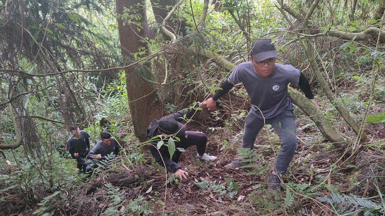 浪犬侵襲阿里山帝雉　動保員全面捕抓移除