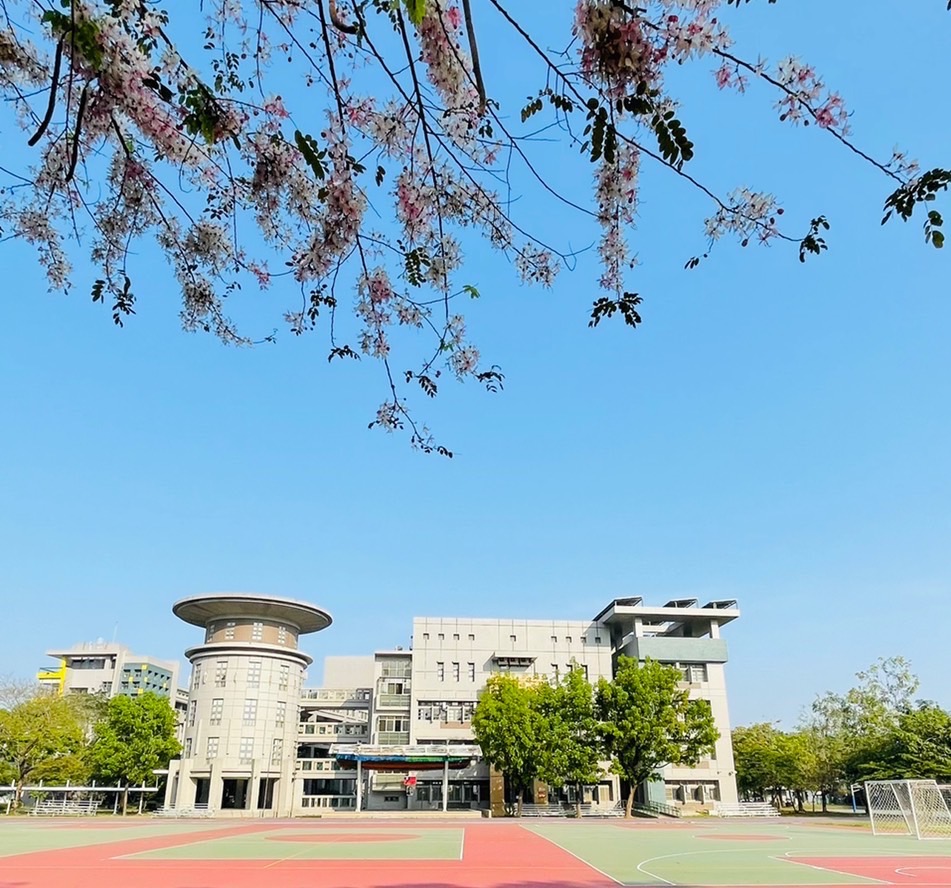 左營國中花旗木、櫻花樹綻放，用四季時序裝扮美麗校園