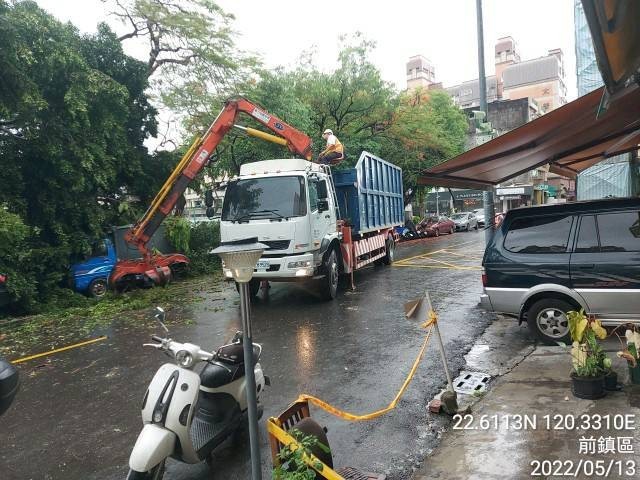 瑞豐國中校園樹木傾倒妨礙道路 養工處第一時間立即排除