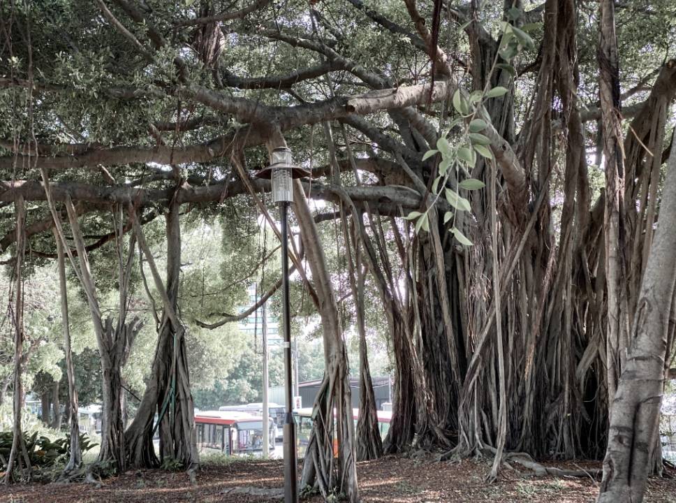 長興公園  獲2022建築園冶獎