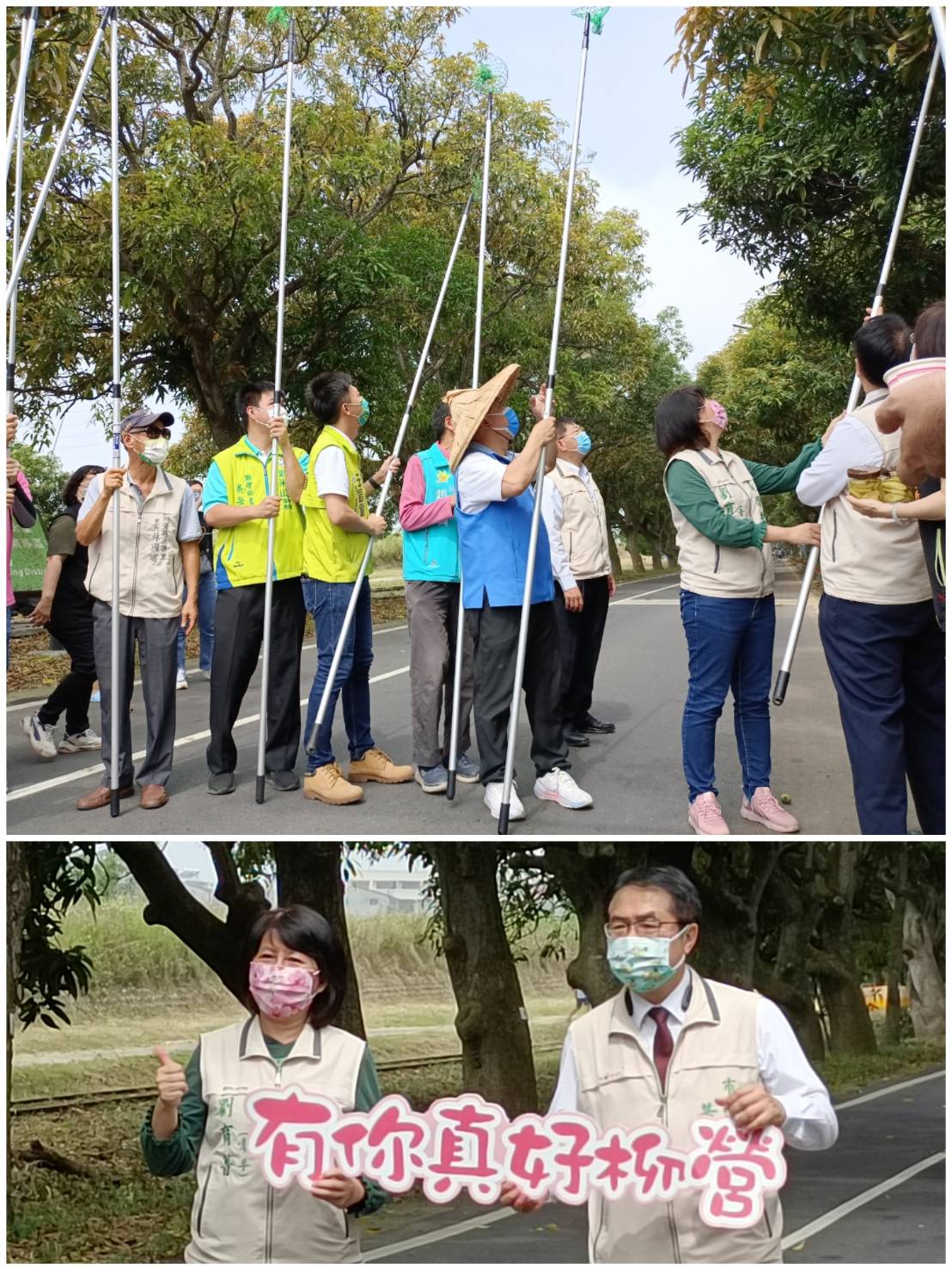 兒樂竹篙咔土芒  柳營太康綠隧下綠果