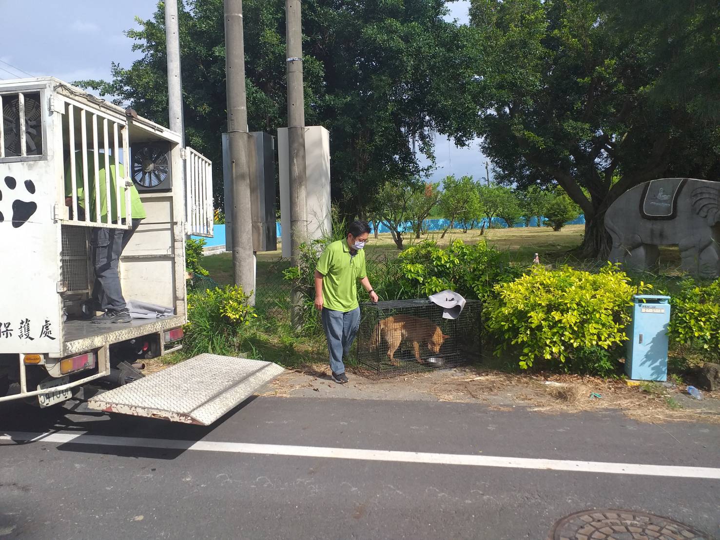 動保處運用捕籠圍籬 麻醉槍加強遊蕩犬管制減量