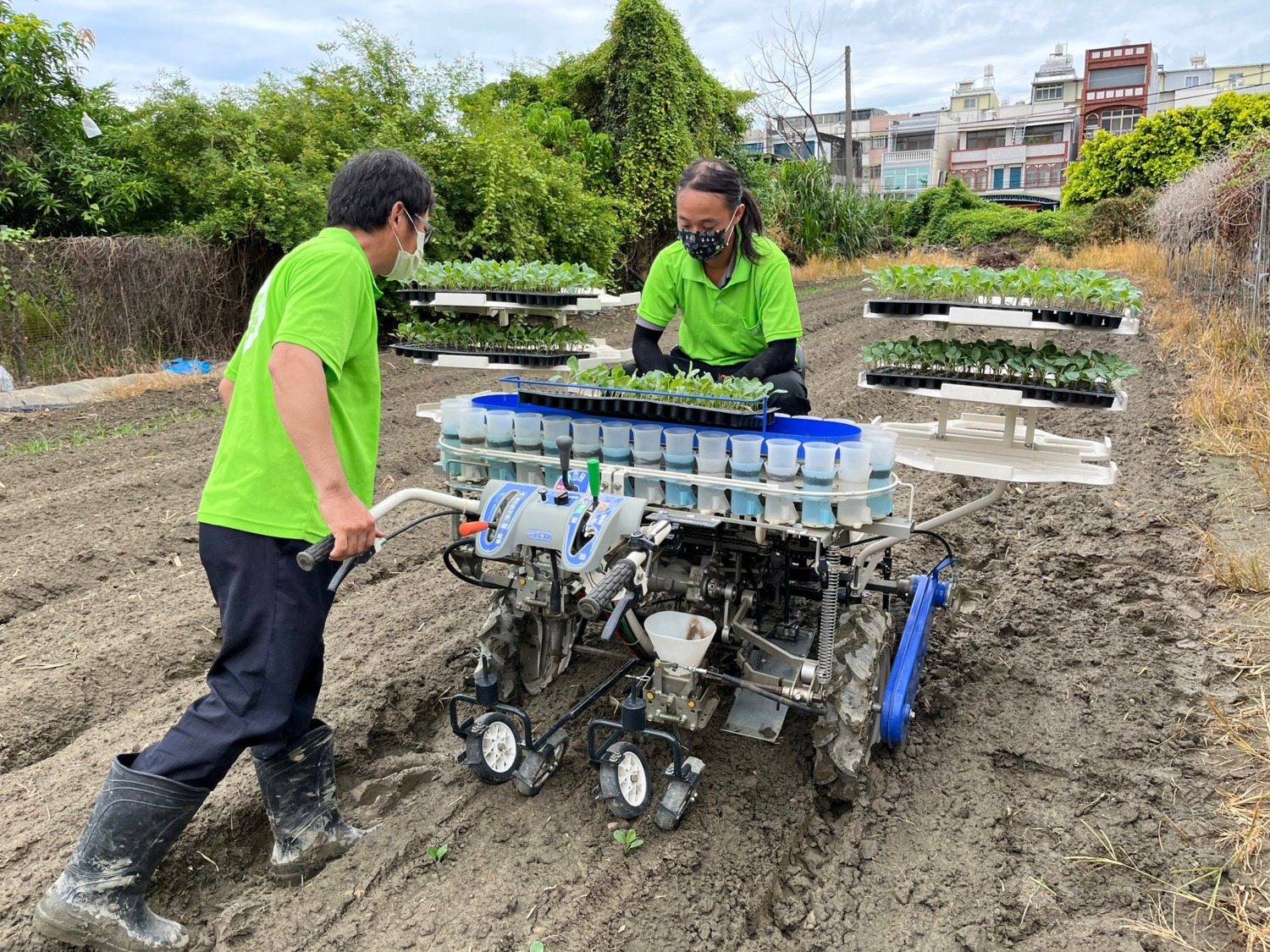 高雄市推蔬菜機械種植合作示範區  三省新農人快把握良機!