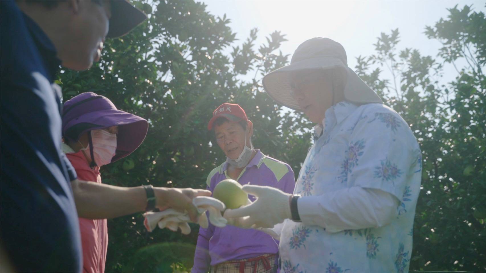 市府為農民開啟銷售管道  提高農產銷量