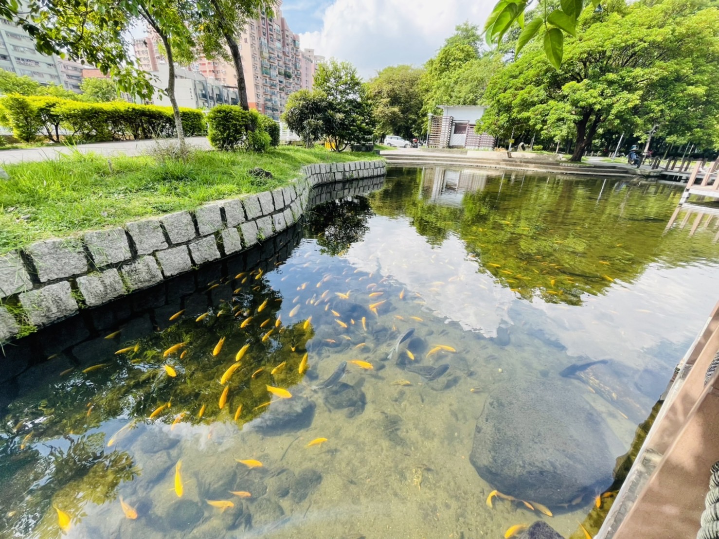 揪下水道不法偷排 水利局佈網監控