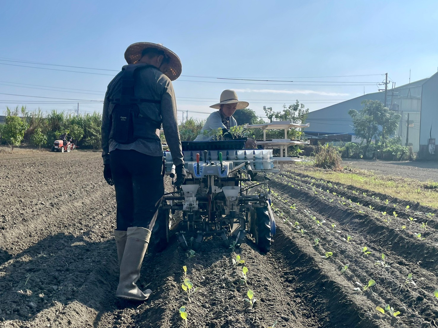 高雄蔬菜機械種植示範農場 今日「開種」