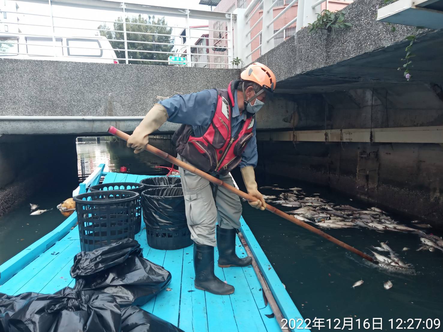 幸福川河面死魚  環保局加派人力盡速清除