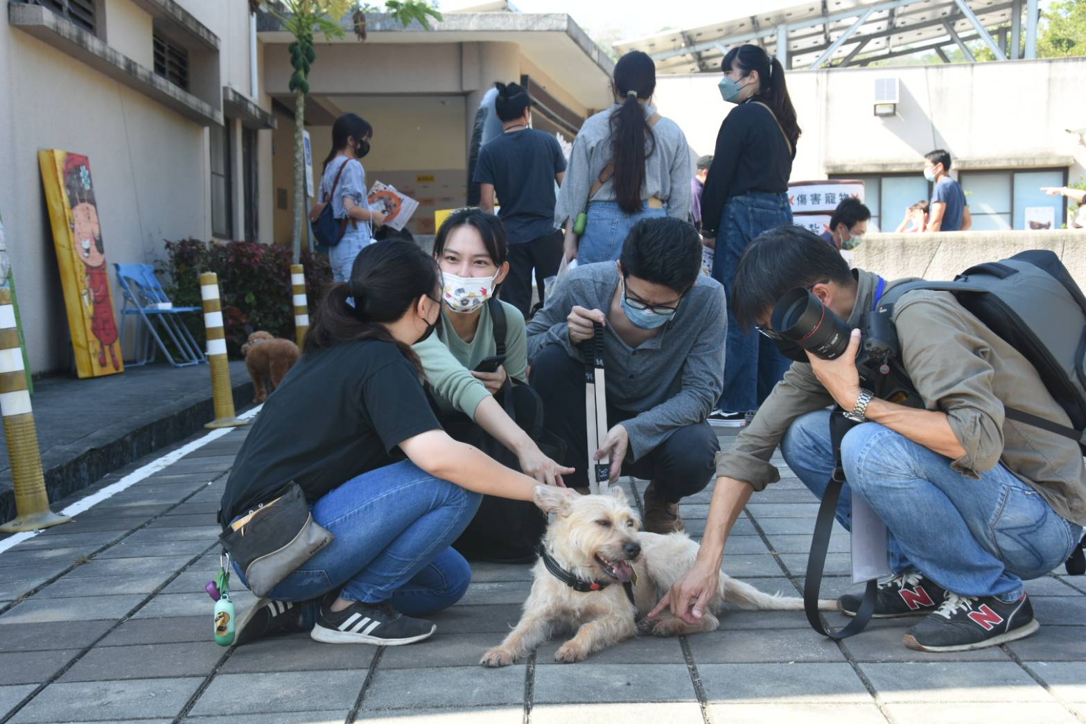 2022吹狗螺音樂生活節 讓動物和音樂療癒你的心