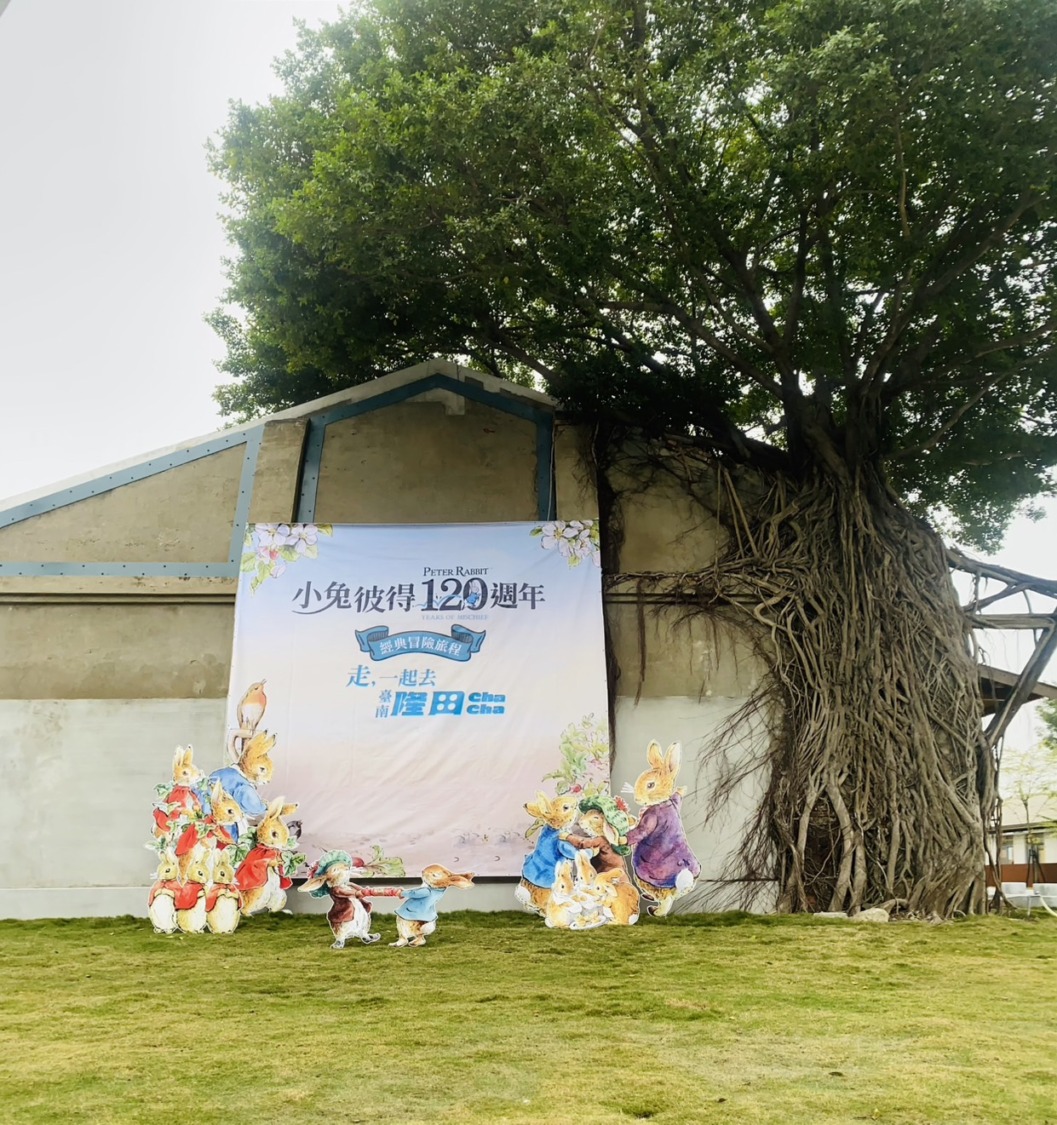 隆田Cha Cha登場 未上市繪本「小兔彼得過四季」獨家展出