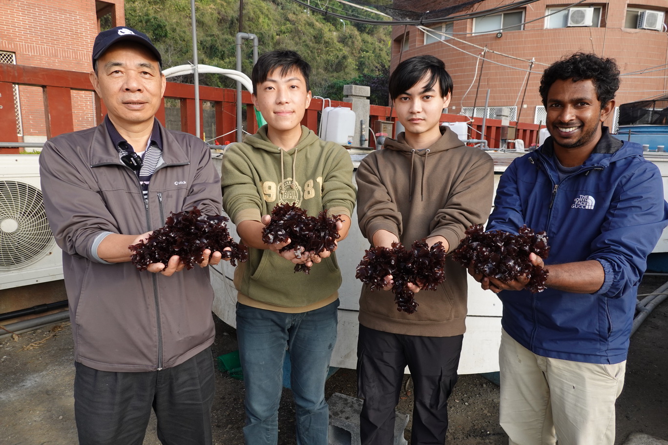 中山大學「藻」到固碳明星　海木耳研究登國際期刊