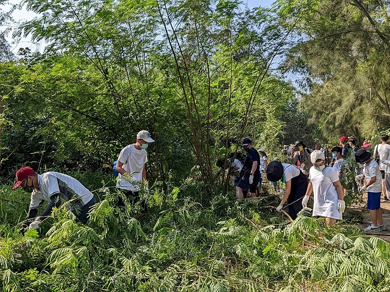 喚起大眾關注及守護　保安林命名拉近人與自然的距離