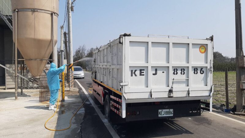 彰化大城蛋中雞場確診禽流感　撲殺8011隻雞清場消毒
