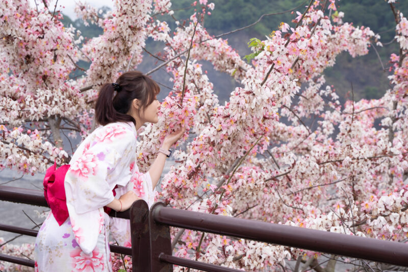 高雄六龜山城遊程推薦！泡湯、賞花、生態導覽不可錯過！