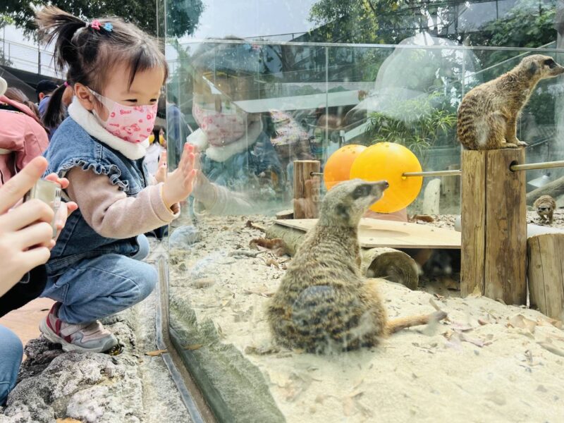 4天連假必玩景點  觀光局園區12歲以下免費入園