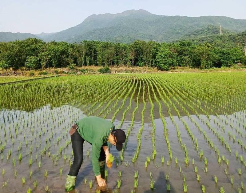世界地球日新北開放申請生態服務給付 每公頃最高領7萬