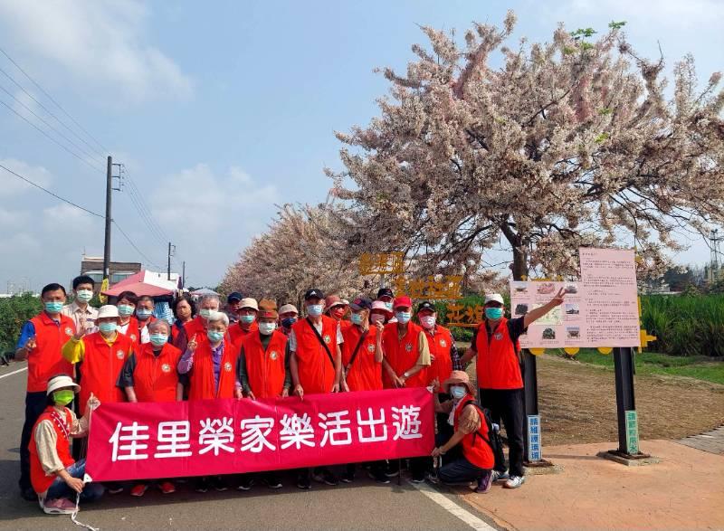 佳里榮家×崧安幼園老少同遊西港花旗木步道賞花趣