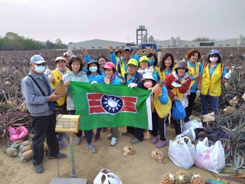 關廟鳳梨盛產通路少 救國團助採收銷售