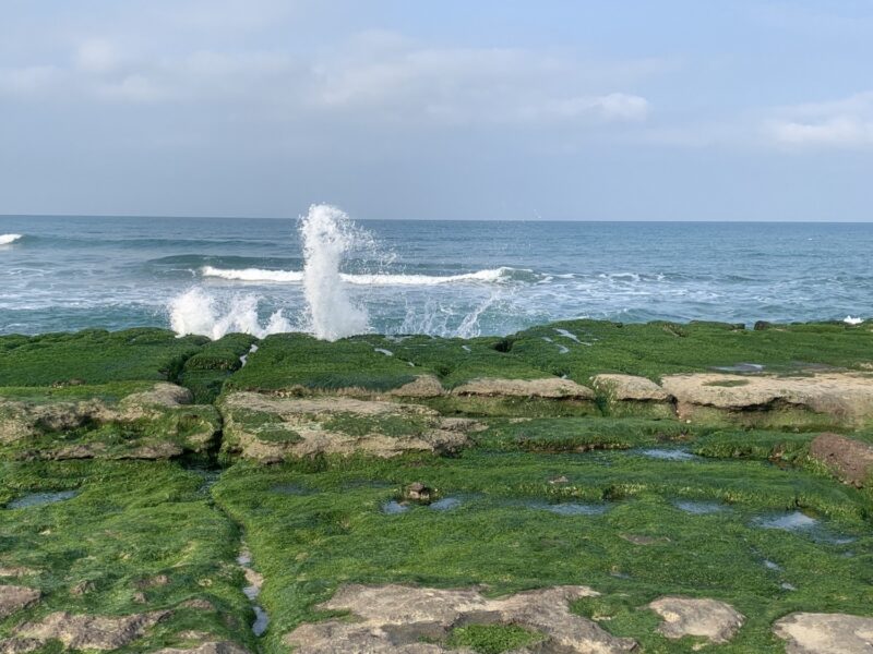 台灣八大祕境之一，北海岸老梅綠石槽登場，再到富基漁大啖海鮮