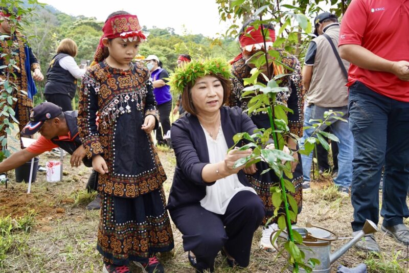 屏東在地特有植物武威山烏皮茶 11日歸鄉落地生根