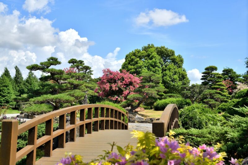 成美文化園「紫薇花季」開花舞挑戰免費無限次暢遊