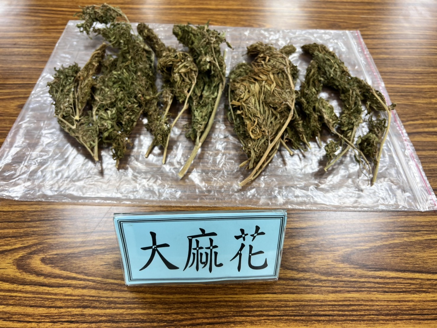 泰籍夫妻檔以菜園當大麻農場 小港警查獲百餘大麻植株 市值近千萬