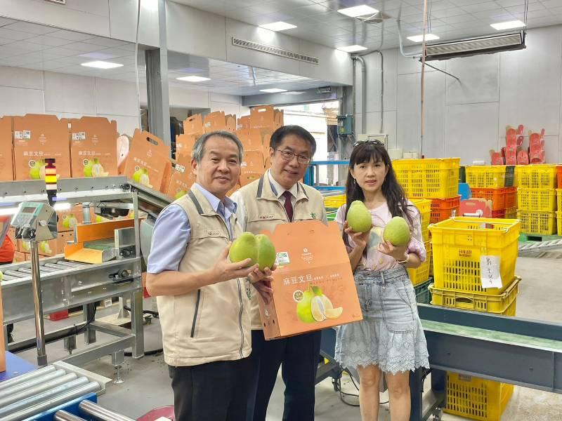 氣象到你家 臺南市長黃偉哲行銷臺南文旦