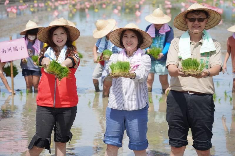 屏東南州彩稻種出海底世界 國慶雙十揭神秘面紗