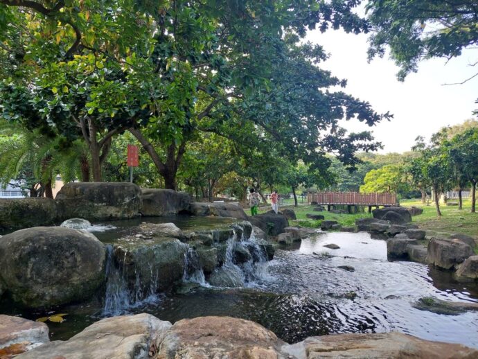 原生植物園具備生物多樣性  城市中的森林浴享受都會芬多精