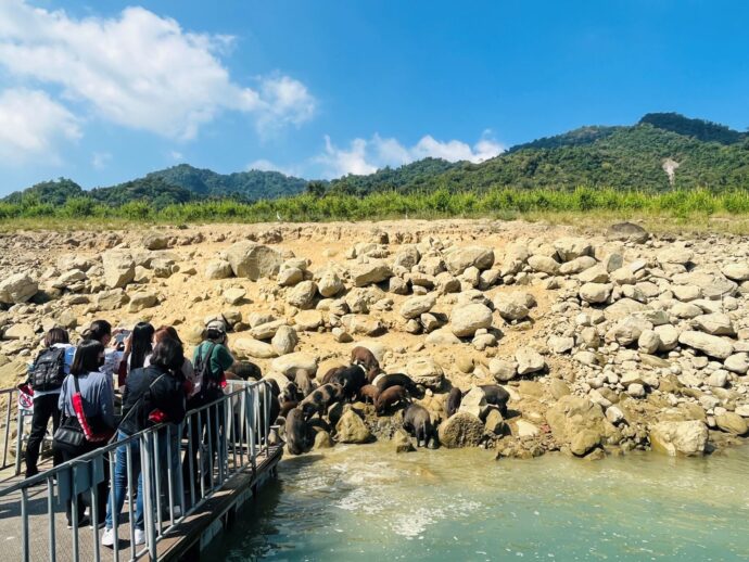 曾文水庫再現滿水位美景  嘉義力推10大旅遊體驗