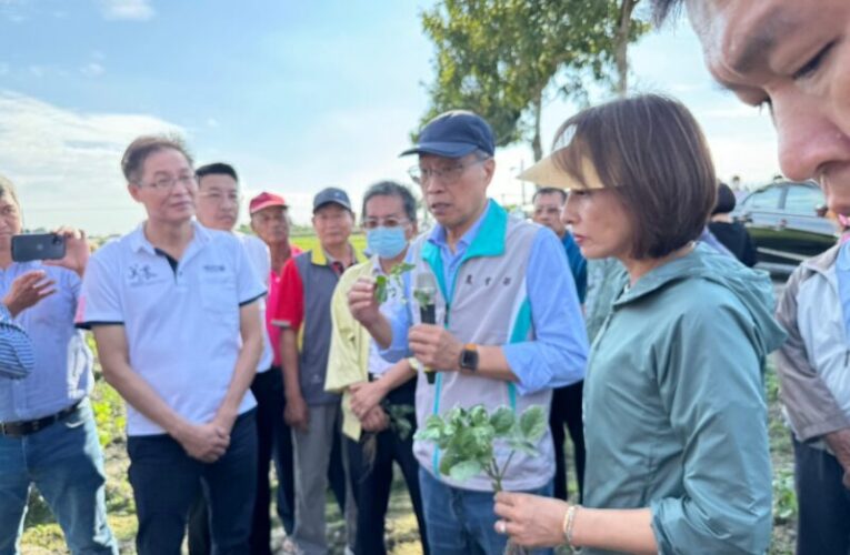 美濃紅豆生長不良　邱議瑩邀相關單位今日下午到現場勘災