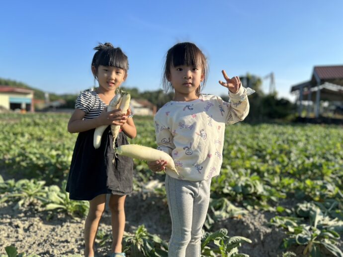 美濃拔蘿蔔記  親近大自然  體驗快樂的豐收