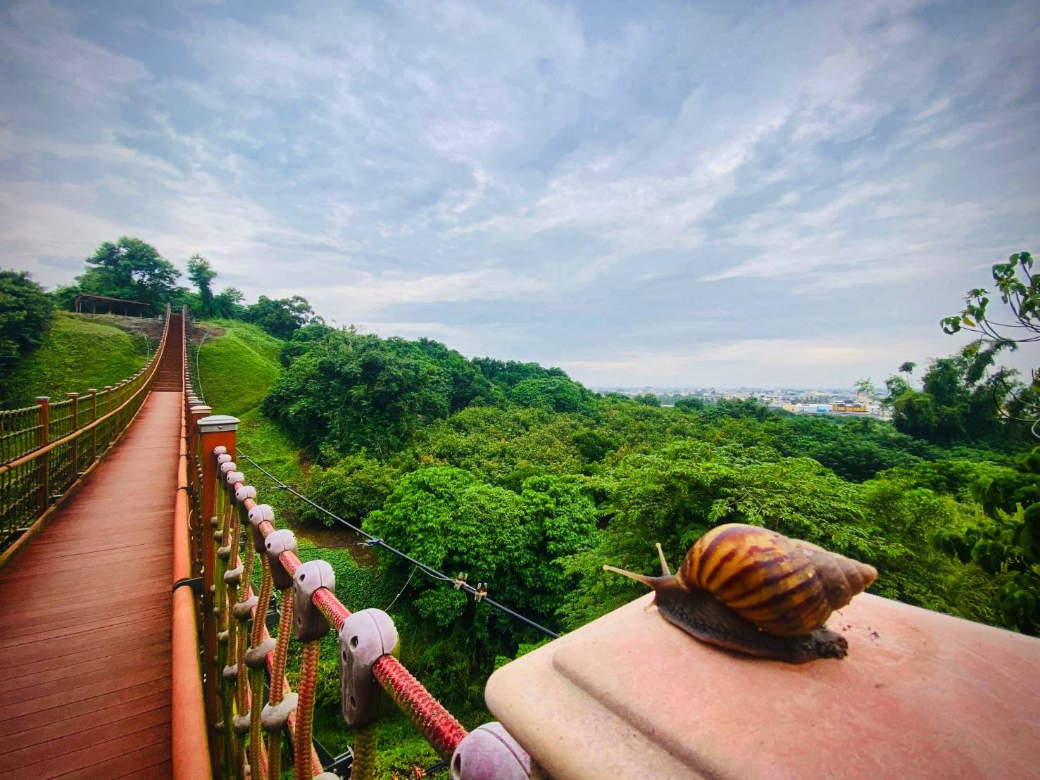 高雄旅遊紅不讓！賞海天一色美景來茄永彌梓林園納福氣 大啖無敵海鮮。【圖／觀光局提供】